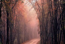 半岛体育app下载-皇马巴萨对决：内马尔梅西火花四溅，燃爆足球盛宴