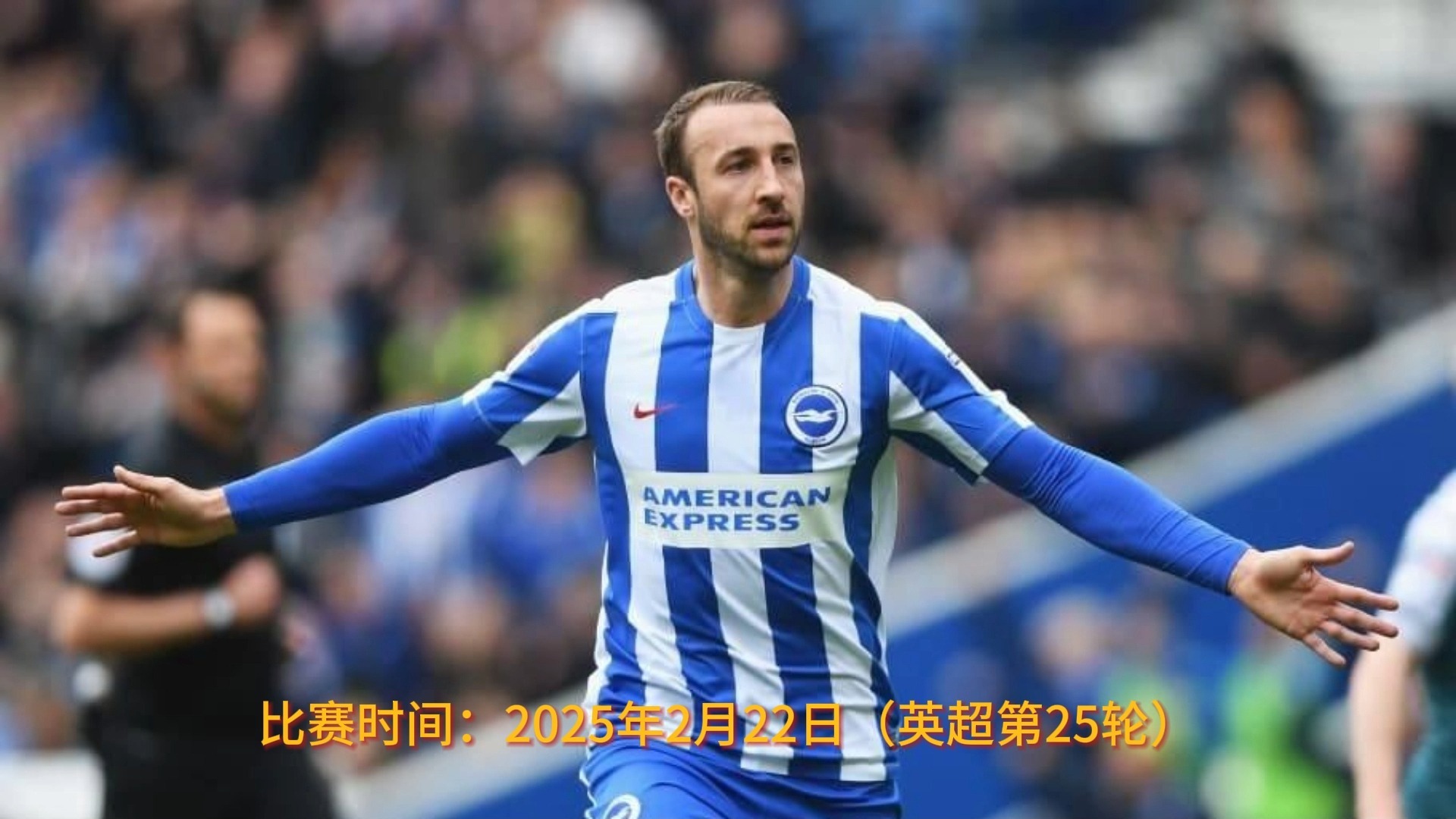 南安普顿队在比赛中拼尽全力