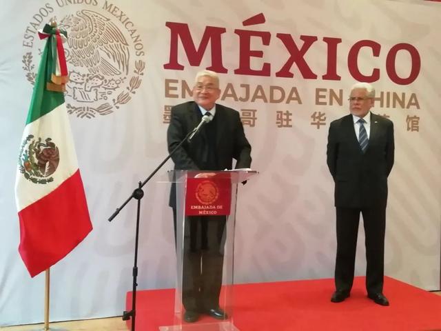 关于墨西哥代表团喜获多枚奖牌，表现亮眼的信息